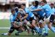 The Handicap, Champions Cup Quarter Finals, Super Rugby Round 8 Betting Preview