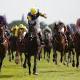 Vodacom Durban July 2019, Betting Preview Vodacom Durban July 2019, Betting Preview