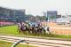 Hollywoodbets Punters Challenge Hollywoodbets Punters Challenge