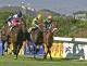 Kenilworth, Saturday 2nd December, Punters Challenge, Winning Form South African Horse Racing Tips Kenilworth, Saturday 2nd December, Punters Challenge, Winning Form South African Horse Racing Tips