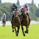 Scottsville, Sunday 3rd December, Punters Challenge, Winning Form South African Horse Racing Tips Scottsville, Sunday 3rd December, Punters Challenge, Winning Form South African Horse Racing Tips