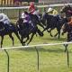 Turffontein, Thursday 25th April, Punters Challenge, Winning Form South African Horse Racing Tips
