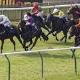 Turffontein, Thursday 24th April, Punters Challenge, Winning Form South African Horse Racing Tips Turffontein, Thursday 24th April, Punters Challenge, Winning Form South African Horse Racing Tips